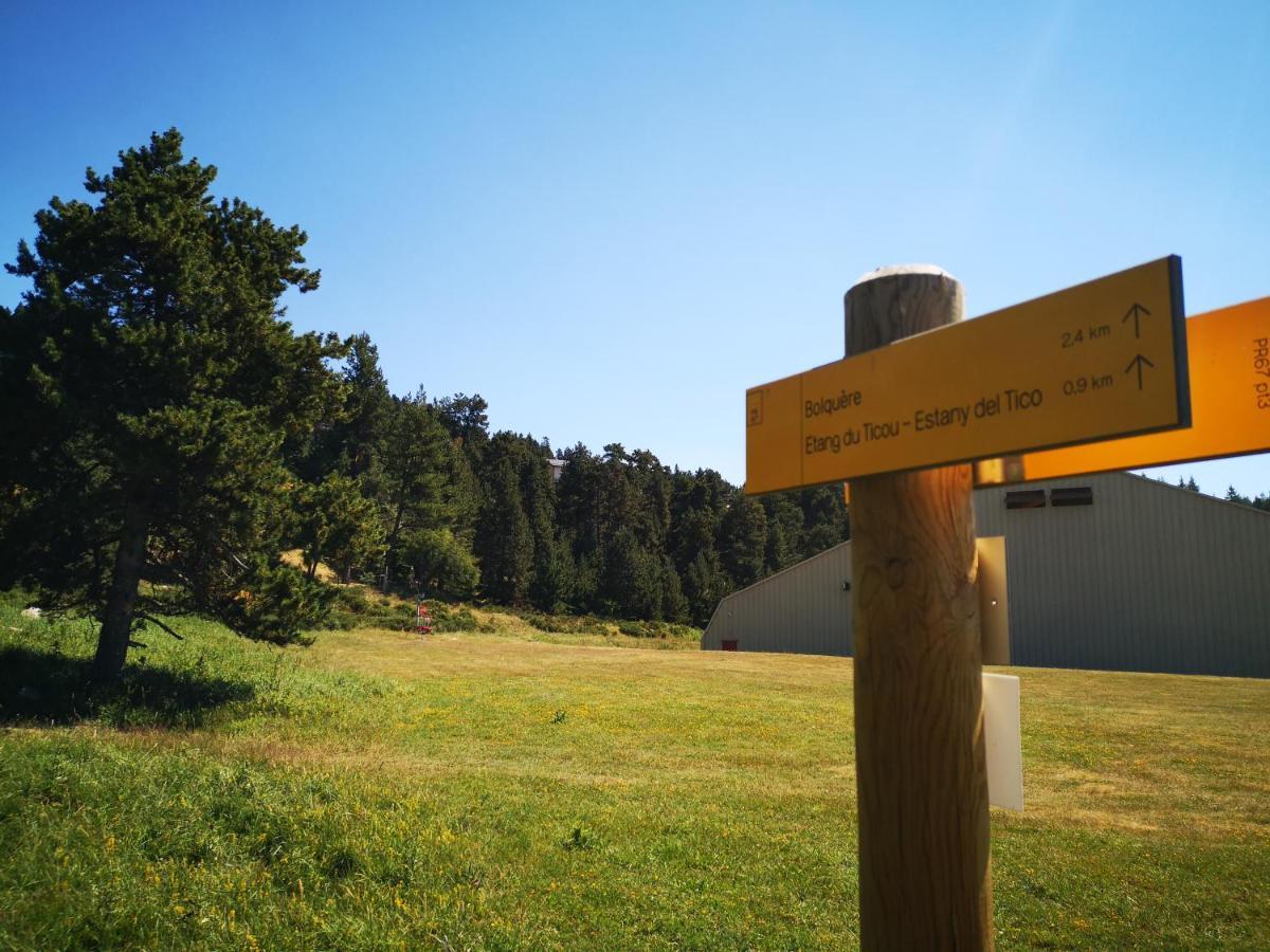 Confortable Au Pied Des Pistes Et De La Foret Apartment *
