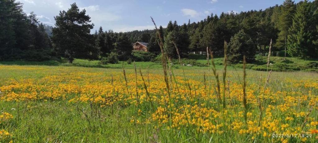 Apartment Confortable Au Pied Des Pistes Et De La Foret *