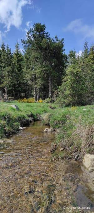 Confortable Au Pied Des Pistes Et De La Foret Apartment Bolquere