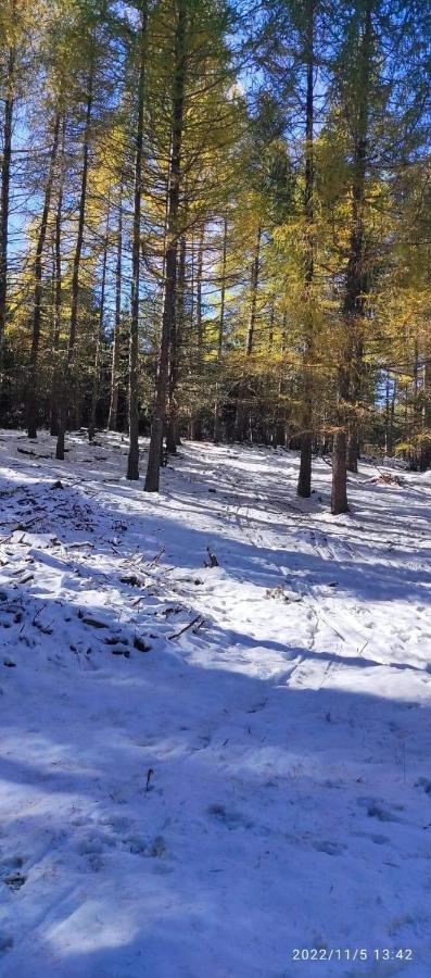 Confortable Au Pied Des Pistes Et De La Foret * Bolquere