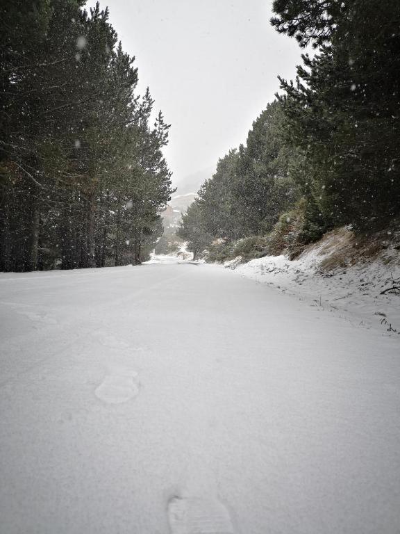 Apartment Confortable Au Pied Des Pistes Et De La Foret *