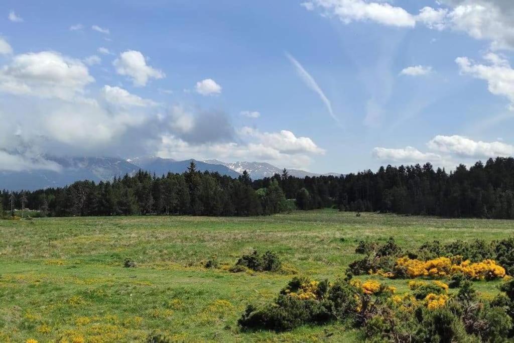 Apartment Confortable Au Pied Des Pistes Et De La Foret Bolquere