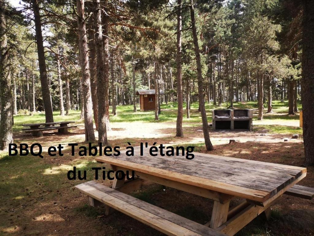 Confortable Au Pied Des Pistes Et De La Foret * Bolquere