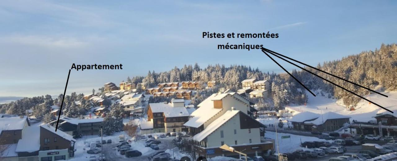 Confortable Au Pied Des Pistes Et De La Foret *