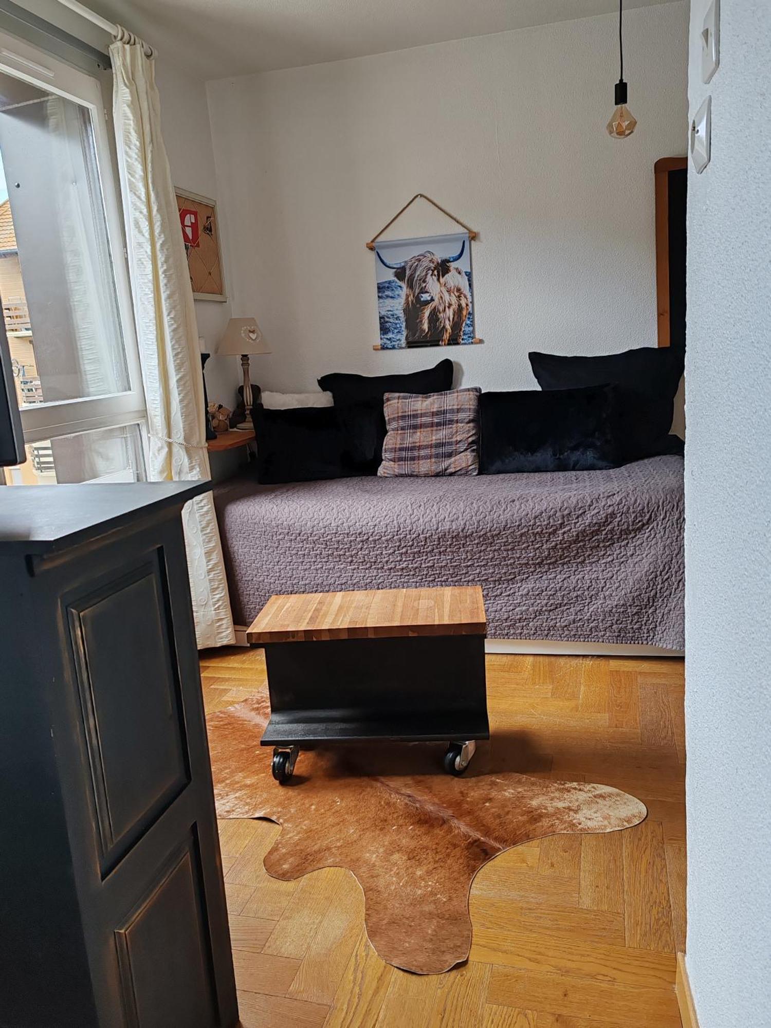 Confortable Au Pied Des Pistes Et De La Foret